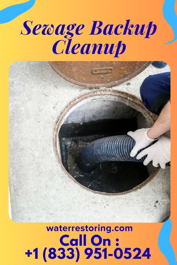 Sewage Backup Cleanup in Emlenton, PA