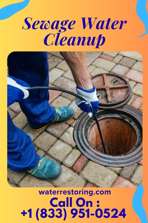Sewage Water Cleanup in Emlenton, PA