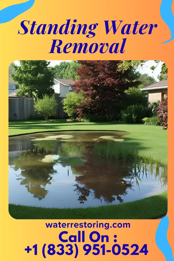 Standing Water Removal in Emlenton, PA